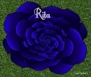 Rita Flower