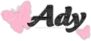 Ady w/pink butterfly