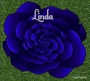 Linda Flower
