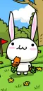 bunny