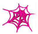 â¤ Spider Web Pink â¤