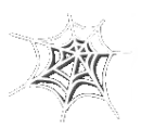 â¤  Spider Web White â¤