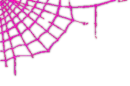 â¤ Spider Web Pink â¤