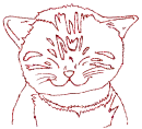 gatto