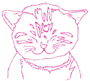 gatto