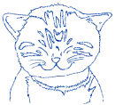 gatto
