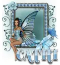 Cathi