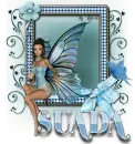 Suada