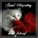 Good Morning Dear Friend