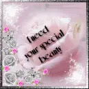Rose Special Beauty