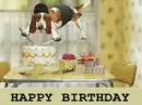 bdays funny