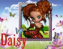 Daisy