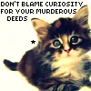 "Curiosity Killed the cat"
