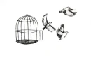 Bird.