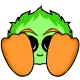 neopet