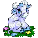 neopet