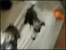 Get Off