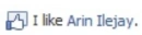 Arin Ilejay