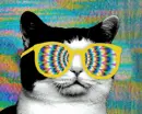 Cool Cat