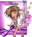 AMBER