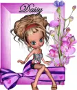 DAISY