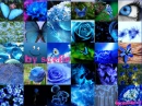 blue