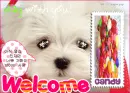 Kawaii Dog Welcome