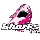 sharks fem
