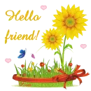 Hello   friend
