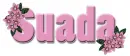 suada