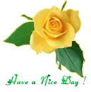 Have a nice day!