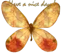 Have a nice day!