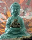 buddha bud