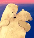 bear hug