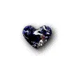dolphin heart