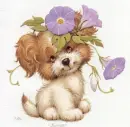 dogi