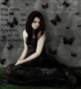 i am papillon