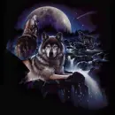wolfy`