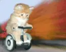 cat