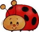 lady bug