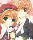 sakura and li