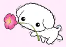 cute