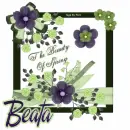 The Beauty of Spring - Beata