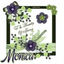 The Beauty of Spring - Monica