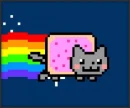 nya cat