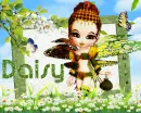 Daisy