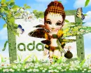 Suada