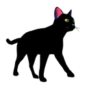 Walking Cat