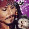 Jack Sparrow