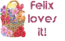 Felix loves it!